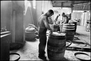 Elliott Erwitt, Cuba, Real Jardín Botánico de Madrid - PHotoEspaña 2017
