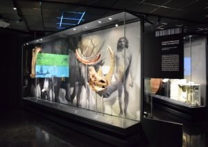 Exposición sobre cambio climático. Planetario de Madrid y Obra Social la Caixa