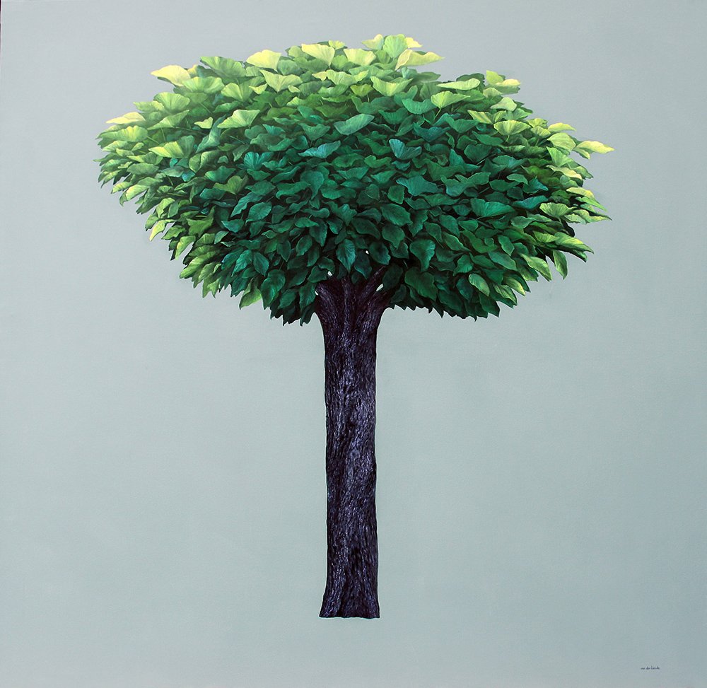 Naturaleza en transformación, exposición sobre cambio climático en Sevilla