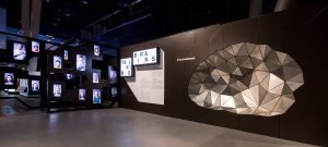 Exposición Talking Brains. Programados para hablar.