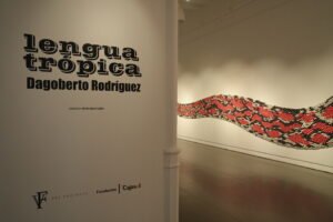 Vigilancia masiva y poder en la obra de Dagoberto Rodríguez